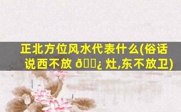 正北方位风水代表什么(俗话说西不放 🌿 灶,东不放卫)